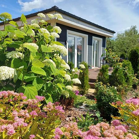 Family Garden House With Free Private Parking & Playground Βίλα Ρίγα Εξωτερικό φωτογραφία